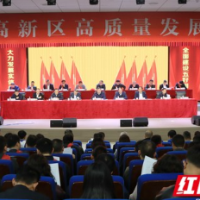 江潮奔涌处 风劲好扬帆——衡阳高新区奏响“十五五”开局奋进强音