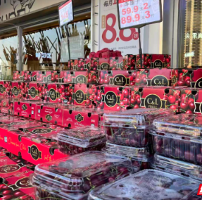 衡州年味｜衡阳年味渐浓 水果店掀新春销售热潮