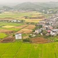 新春走基层·小镇顶流 | 耒阳马水镇:一河润良田 “冬闲”人不闲