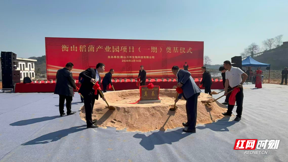 衡山稻菌产业园开工,将实现年出口菌棒1000万棒