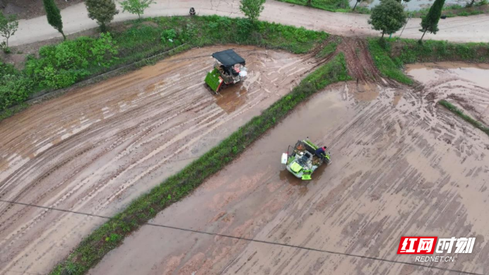 无人驾驶插秧机 “上岗” 衡山智慧农业奏响春耕新乐章