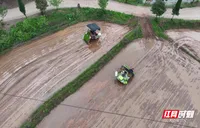 无人驾驶插秧机 “上岗” 衡山智慧农业奏响春耕新乐章