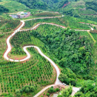 组图｜常宁：产业路 致富路