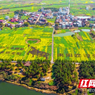 跻身“国家队”之后 耒阳如何“加油”干