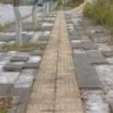一家四口偷两千块地砖：给猪改善居住条件