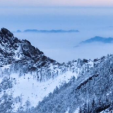 春雪满枝的秦岭