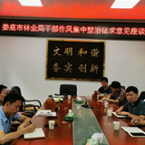 娄底市林业局迅速开展作风整治“三个一”活动