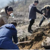 冷水江：3千棵油桐树为城市添绿 展卫健风采