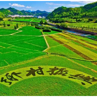 娄底烟草：乡村振兴的 “小虎队”