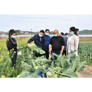 防疫保供“两不误” 娄底“菜篮子”货足价稳