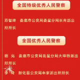 厉害了！娄底公安2个单位和3名个人获全国表彰