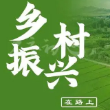 坚定讲政治 勇担肩上责——娄底市委组织部、市委编办驻村工作队严格落实“四个不摘”助力乡村振兴