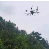 荷叶镇：防治林区虫害 守护绿色家园