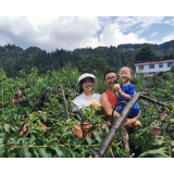 新化古台山：原生态村落瓜果飘香 “生态+产业+旅游”助推乡村振兴