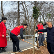 双峰县荷叶镇“和森红”志愿服务者开展义务植树活动