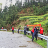 省政务服务和大数据中心赴双峰县荷叶镇金凤村开展义务植树志愿服务活动