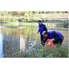 娄底:支部联建聚合力 “河”你共“净”护清波