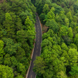 双峰溪口路:“交通+”绘就农文旅融合新图景 铺就乡村振兴致富路