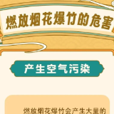 【禁燃禁放】烟花爆竹危害多，这些知识要了解！