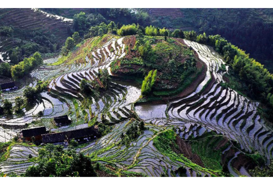 紫鹊界梯田自流灌溉工程上榜！湖南省首批水利工程遗产名录公布
