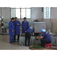 匠心永铸·智汇新化丨李正堂：匠心酿茶香