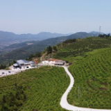 涟源古塘:万余名群众告别“饮水难”