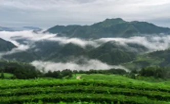 新春走基层・小镇顶流｜湖红之源 何以香飘世界