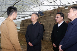 曾超群赴双峰县调研：扛牢政治责任 毫不放松抓好粮食生产