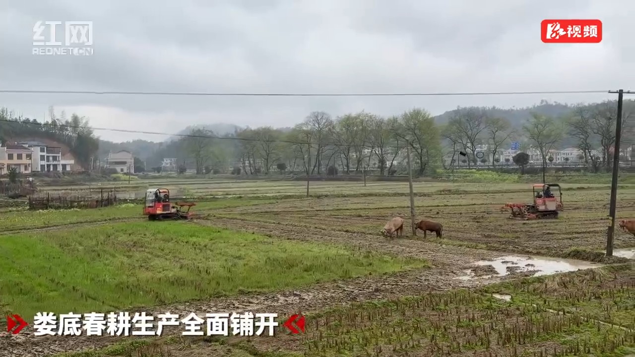 娄底春耕生产全面铺开