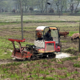 视频｜娄底春耕生产全面铺开 机械化助力早稻丰产