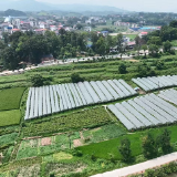 “花果乡”的嬗变——新化县科头乡十年发展纪实