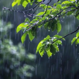 端午期间娄底强降雨+强对流，需加强防范！