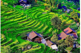 莫小佳赴新化县调研督导有关工作：打造新场景 提升体验感 留住烟火气
