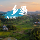 乡遇丨万宝镇 · 山水折页处，精神栖息时