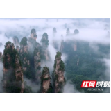 10月1日张家界市接待旅游总人数18.24万人次