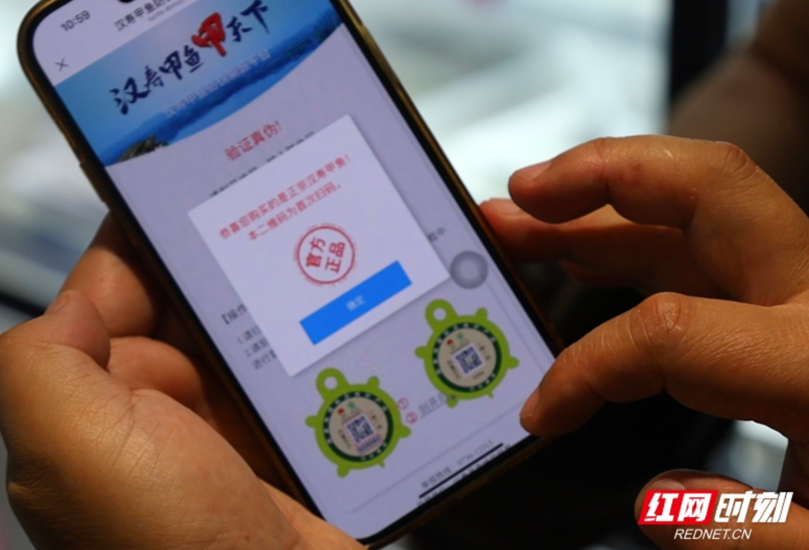 洞庭湖畔的科技革命：汉寿甲鱼戴上“数字身份证”