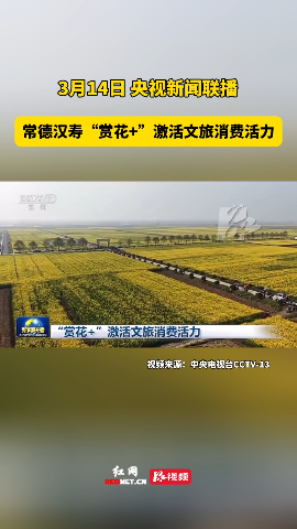 汉寿“赏花+”激活文旅消费活力