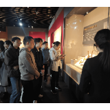 青蓝共话传薪火 芙蓉种业强根基|芙蓉区青训营“薪火相传 青蓝共话“活动侧记