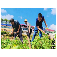追寻红色足迹  践行群众路线 | 涟源市委党校秋季学期主体班次学员赴安化等地开展党性教育活动