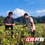 践初心 守民心 携手共建新山村 ——湖南省委党校驻金子山村工作队帮扶纪实