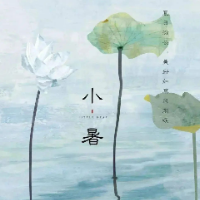 今日小暑｜荷风送香 清风常伴