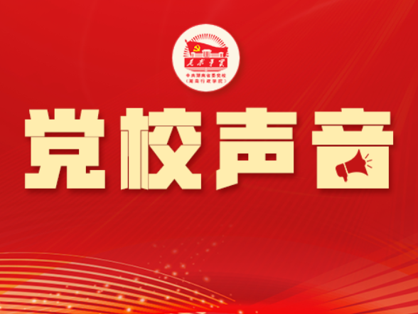 孙学凯：数智赋能，让行政执法更“精明”