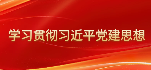 学习105年党史伟绩 夯实党性育人根基