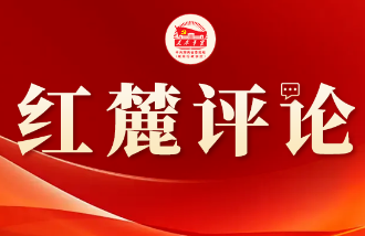 红麓评论:财政治理如何“牵手”AI?