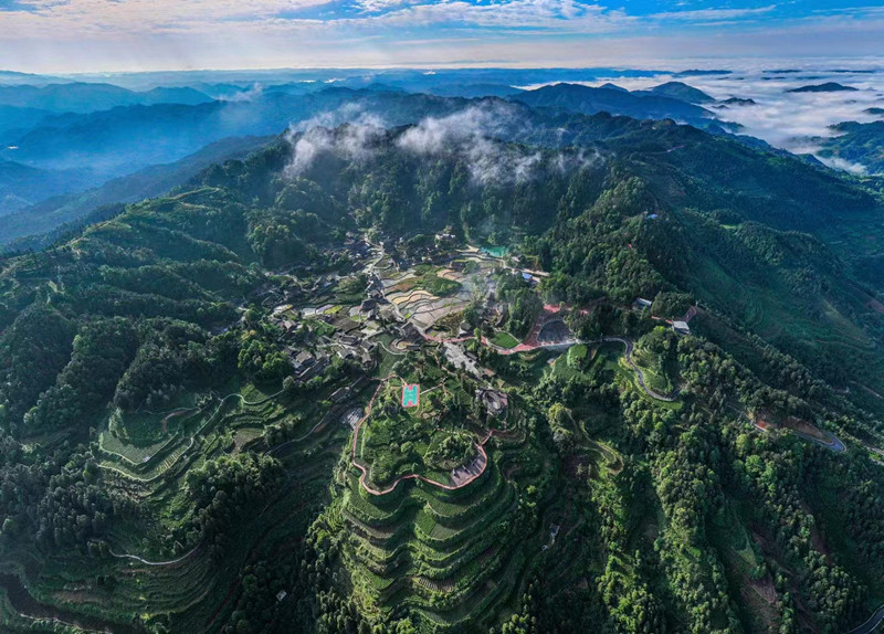 湘西州保靖县国茶村_副本.jpg