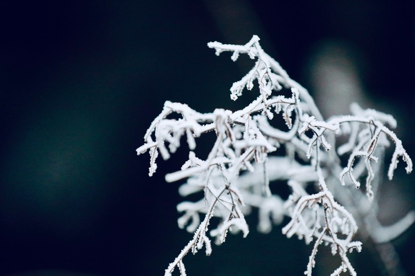 新田：高海拔山区现雾凇冰挂景观