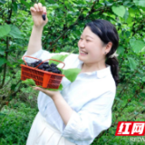 肖文君：把“玩”出来的灵感，变成讲台上的创新创业