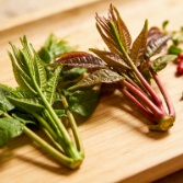 健康科普 | 湖南省名中医程丑夫:立春养肝,多吃这些应季芽菜