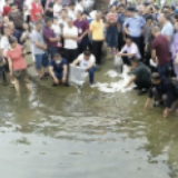 视频｜桃江：公益诉讼保生态，万尾鱼苗守江河