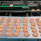 视频｜探秘益阳老店有成斋工厂，来看看“本地网红”喵爪糕的一生吧~